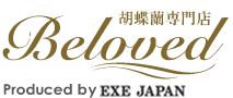胡蝶蘭